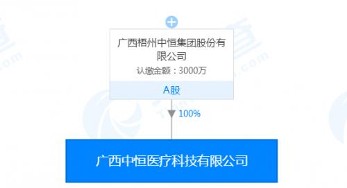 中恒集团最新公告全面解读