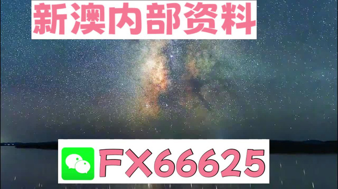 20024新澳天天开好彩大全160期,动态解释词汇_旗舰款46.896