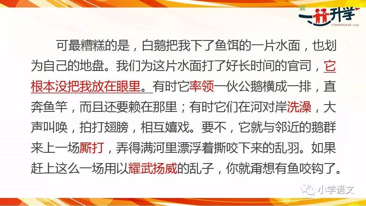 白小姐资料大全+正版资料白小姐奇缘四肖,实用性执行策略讲解_Superior80.843