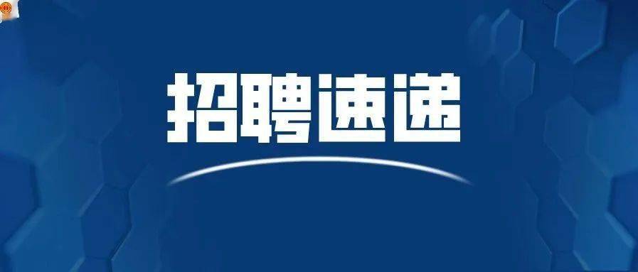 西樵最新招聘动态及其社会影响分析