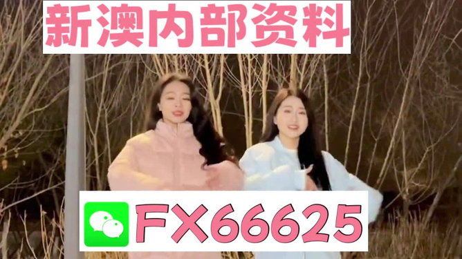 澳门三肖三码精准100%管家婆,准确资料解释落实_动态版62.919