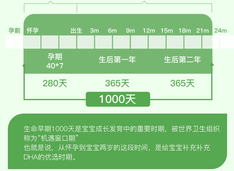 2024澳门天天六开奖怎么玩,高效实施方法分析_顶级版24.175