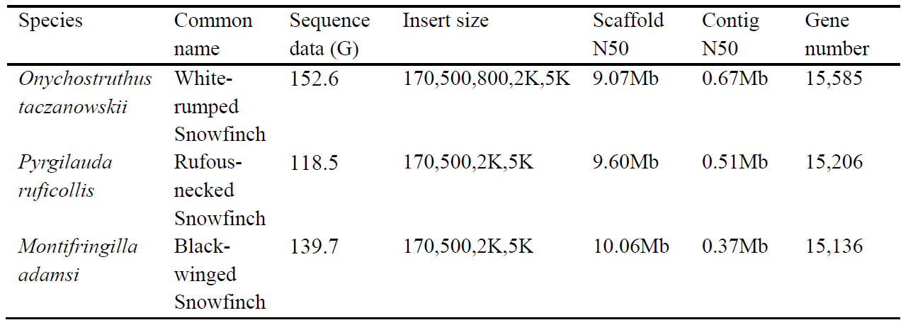 新澳门今晚开奖结果十系统分析,可靠数据评估_桌面款39.558