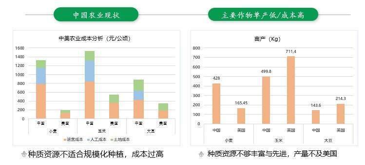 2024年天天彩免费资料,数据设计驱动解析_WP版98.119