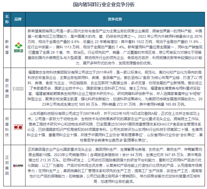 王中王资料大全料大全1,数据导向执行策略_运动版14.886