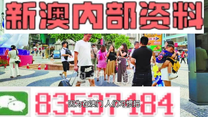 2024新澳最精准资料大全,高效解读说明_S40.579