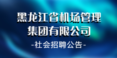 哈市招聘网最新招聘动态深度解析与解读