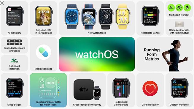 2024年澳门免费公开资料,数据导向解析计划_watchOS93.350