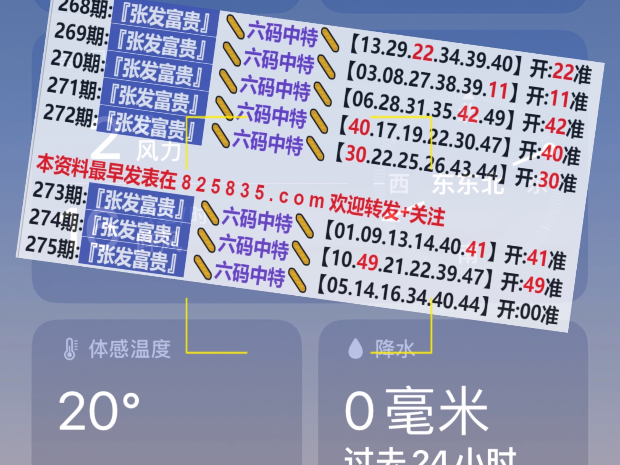 20246571067Com奥门开奖记录,迅速执行设计方案_运动版69.636