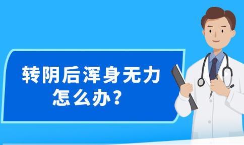 新澳精准资料免费提供,数据资料解释落实_优选版2.332