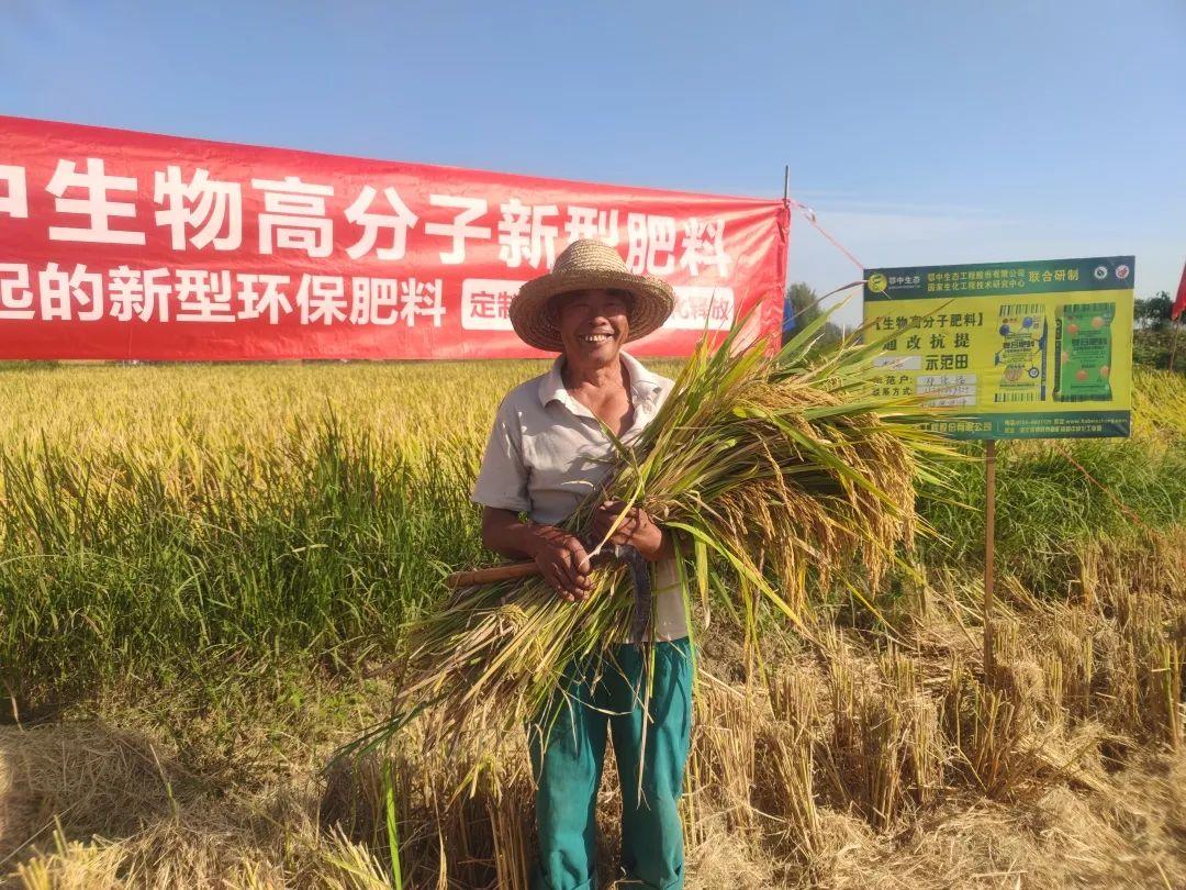 鄂中复合肥最新价格动态与市场走势分析