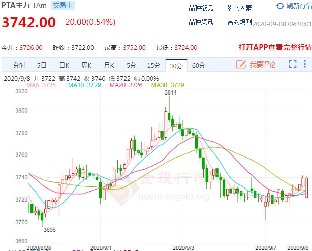 期货PTA最新行情深度剖析