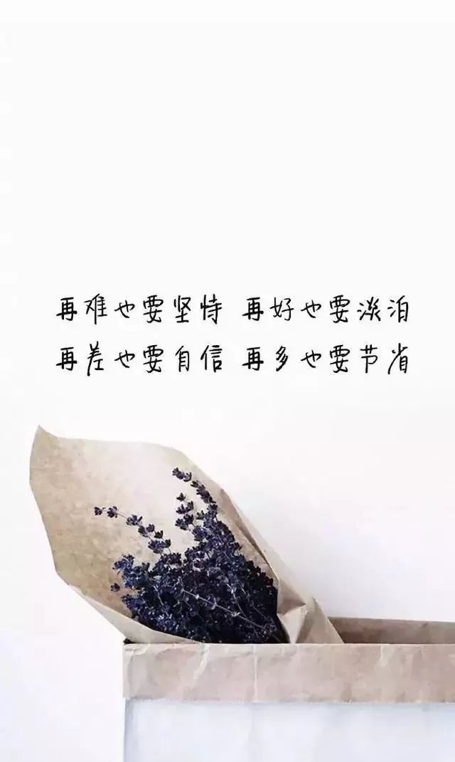 心灵滋养，最新温暖鸡汤传递力量