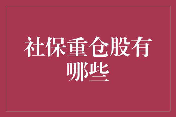 社保重仓股投资趋势与机遇深度解析