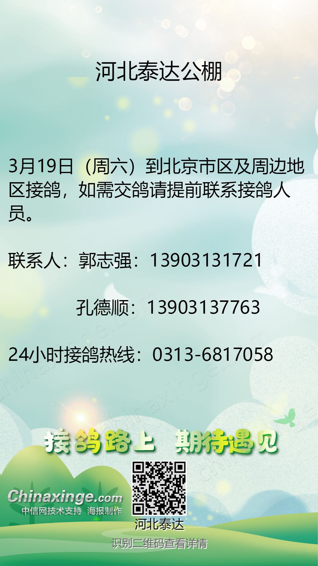 泰达公棚最新公告深度解读