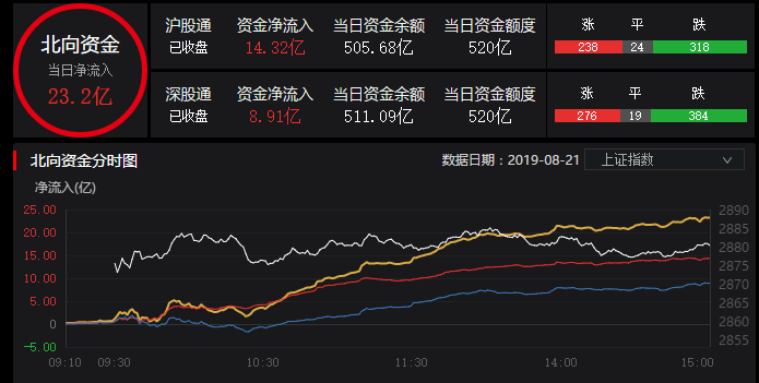 最新一期吾股丰登深度解析股市动态与投资机遇