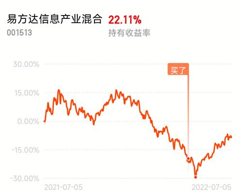 基金行情最新动态解析，市场走势展望与分析报告