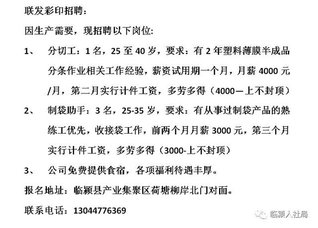 宁陵县招聘网最新招聘动态深度解析与解读