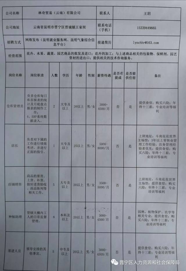 隆阳区最新招聘动态与职业机会展望报告