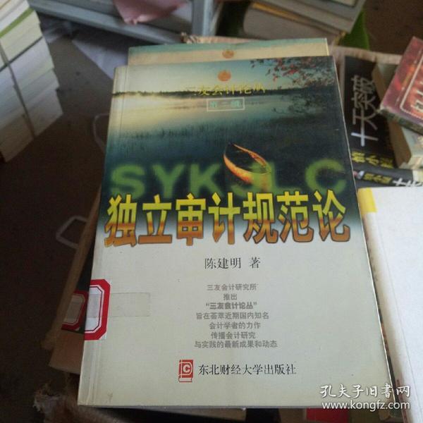 最新独立审计准则，重塑信任与透明的基石