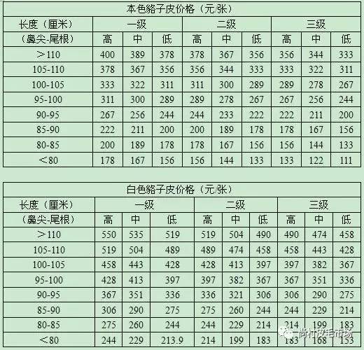 吊车每作 第9页