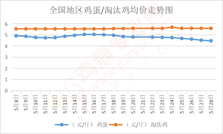 鸡蛋价格最新行情走势深度解析